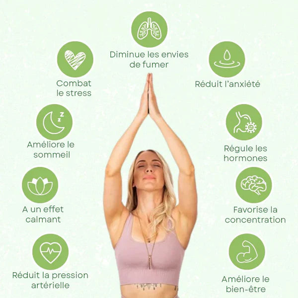 Kit Ultime pour Arrêter de Fumer