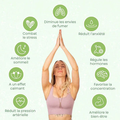 Kit Ultime pour Arrêter de Fumer